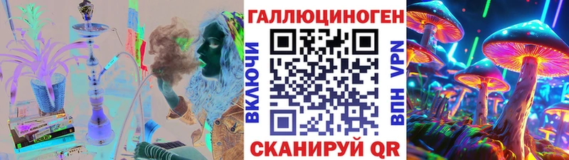 где можно купить   Снежногорск  Псилоцибиновые грибы прущие грибы 